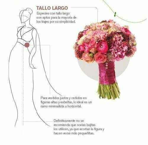 Tipos de ramo y colores - 1