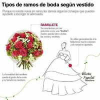 Tipos de ramo y colores - 4