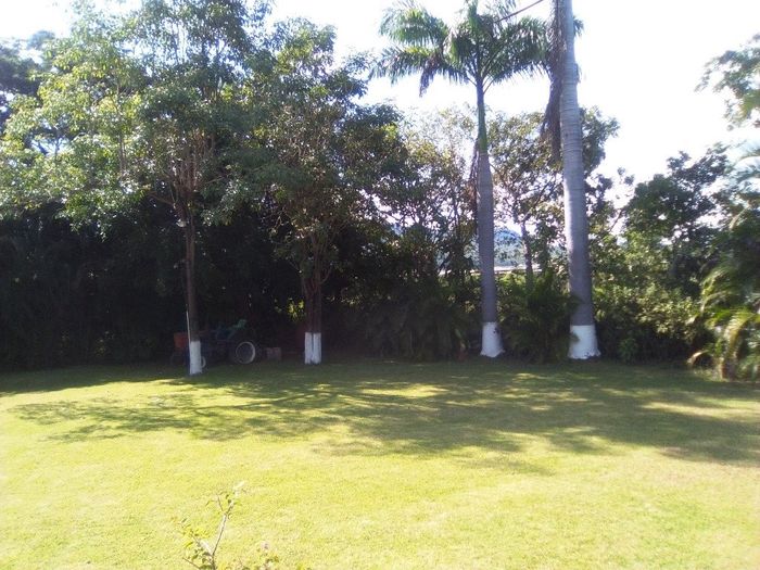 Anexo al jardín. Aquí el otro proyecto para invitados