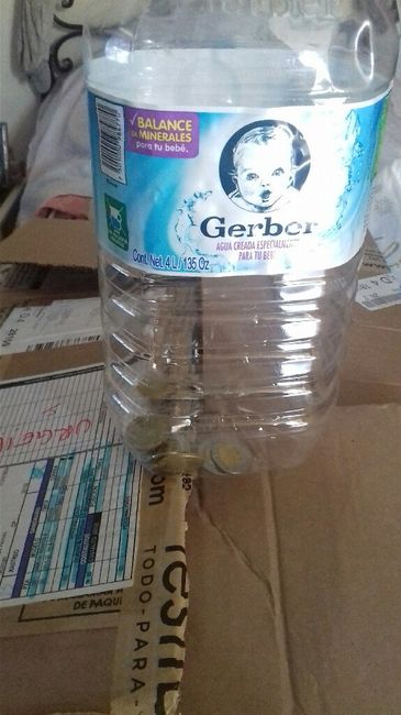 Me proyecté...reto de los 10 pesos! - 1