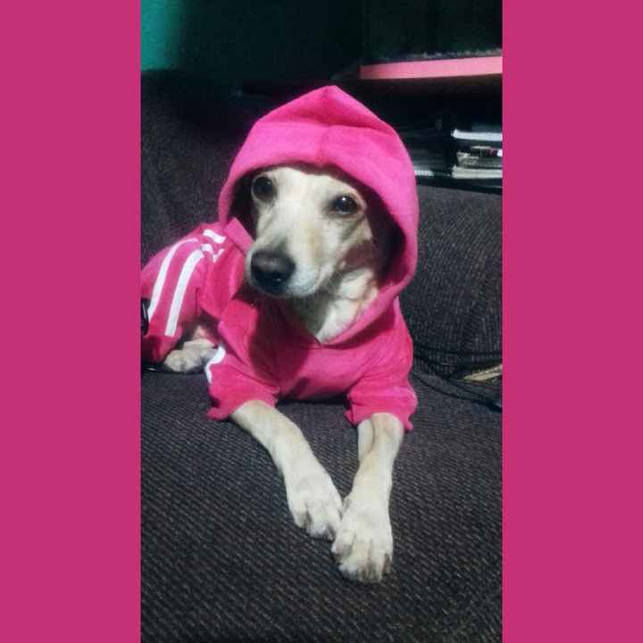 La mejor "wedding planner" - 1