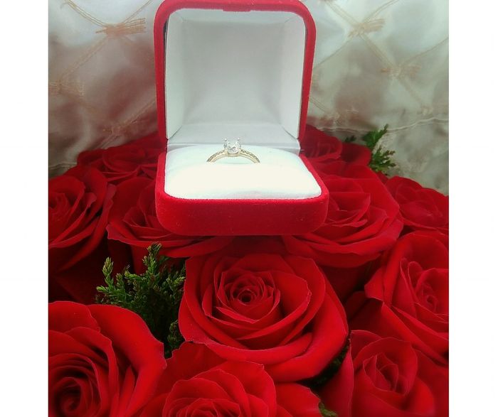 "mi sorpresa romántica Gabriela Selene" 1