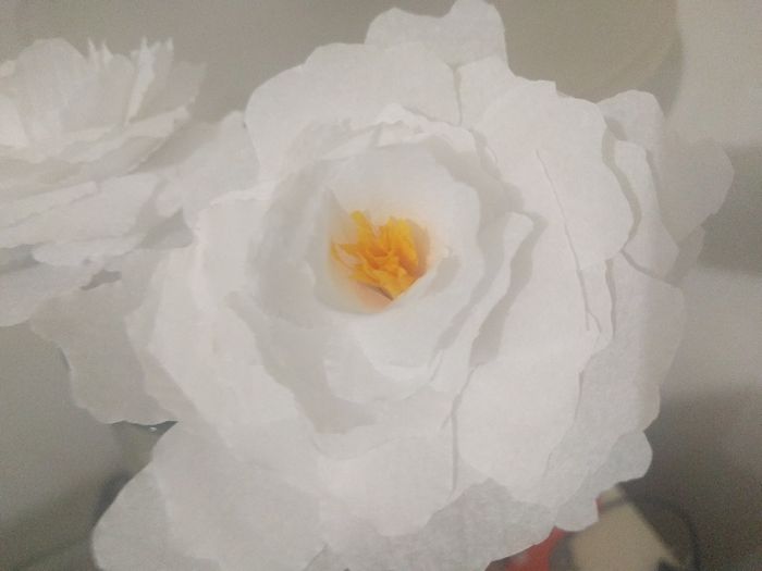 Flor crepe (intro) - 5
