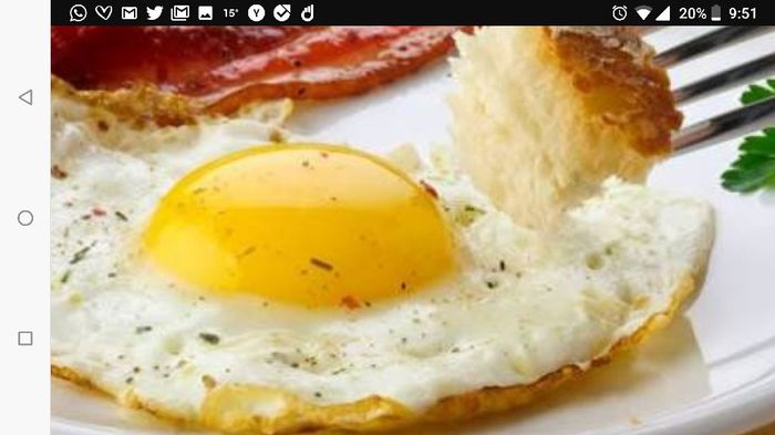 Mi Primer Platillo - Gloria 2