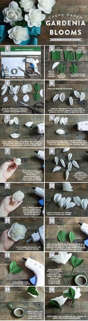 Gardenias Diy Bouquet - 4