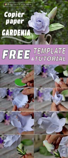 Gardenias Diy Bouquet - 9