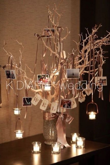 Galería de fotos - 12