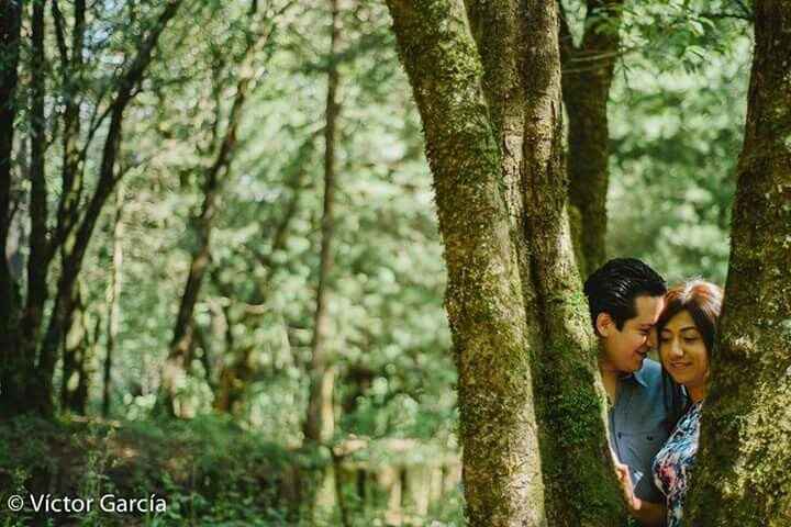 Sesión de fotos pre boda - 2