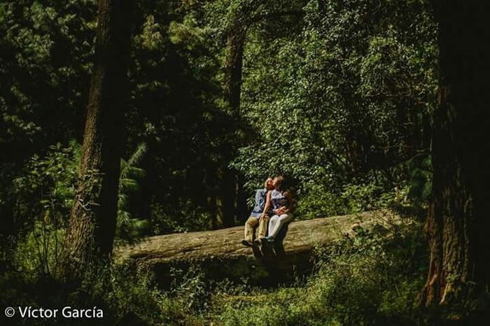 Sesión de fotos pre boda - 6