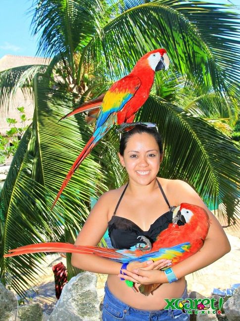 Presume tu Honeymoon! - 6