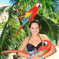 Presume tu Honeymoon! - 6