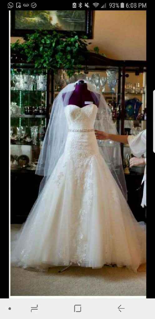 Les presumo mi vestido - 1