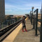 Geny