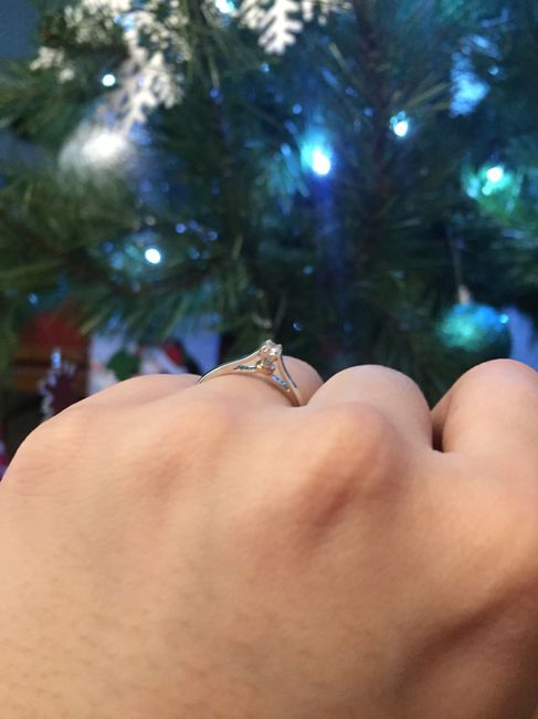 Mi anillo de compromiso, Paulina 1