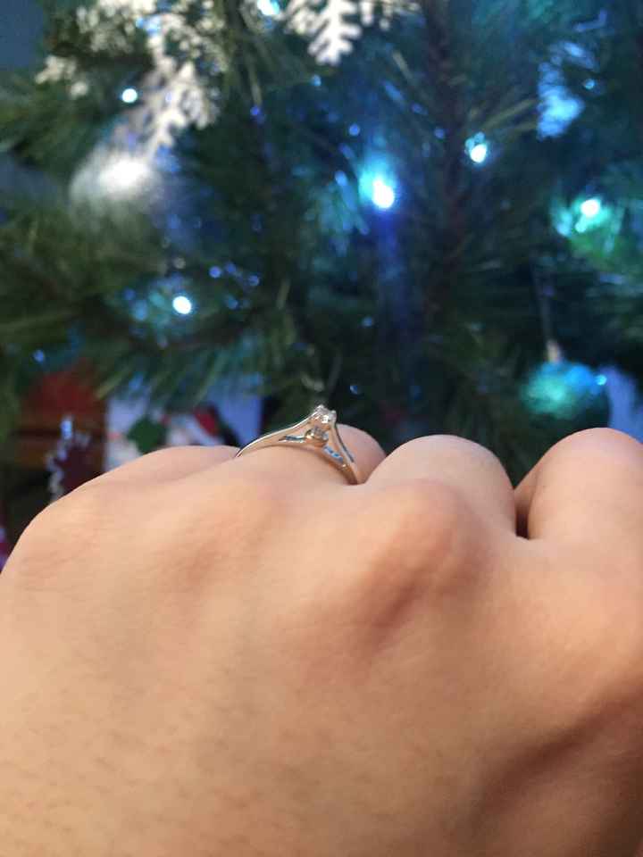 Mi anillo de compromiso, Paulina - 1