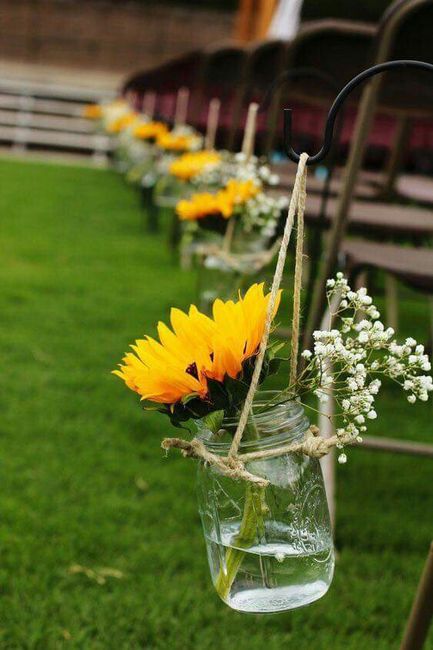 Girasoles - 3