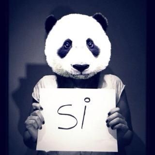 la respuesta :D