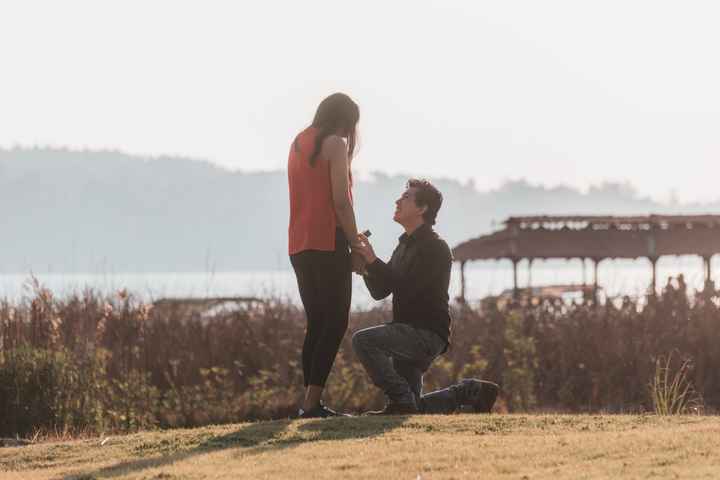 ¿Tu pareja se arrodilló cuando hizo la propuesta?🎁 - 1