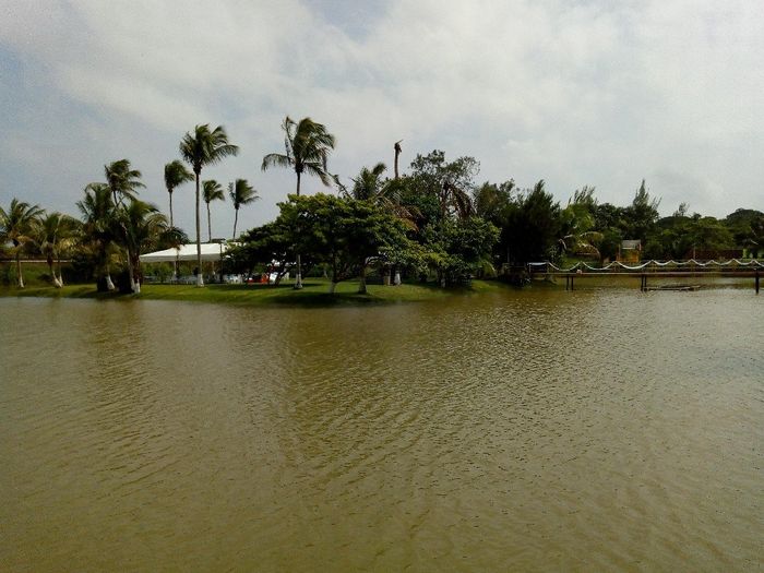 El día de la boda - 1