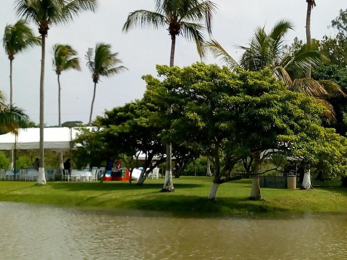 El día de la boda - 2