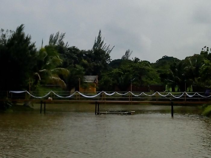 El día de la boda - 3