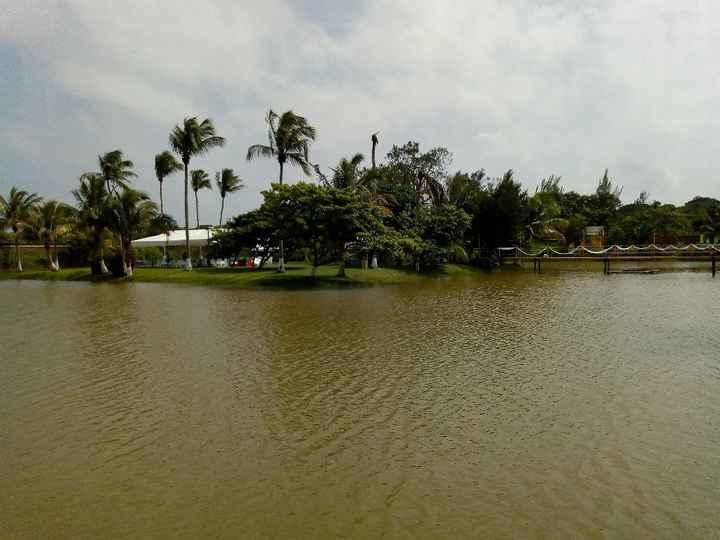 El día de la boda - 1