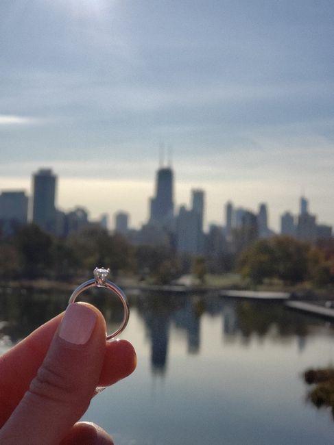 Foto de portada: ¿cuál de los dos? 1