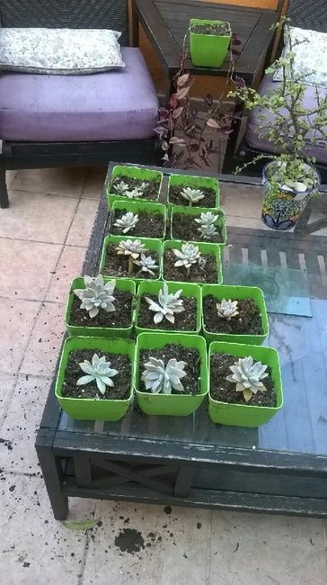 DIY centros de mesa y otras utilidades