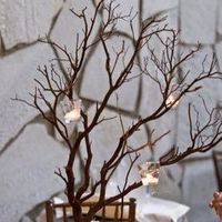 Arbol de deceos - 2