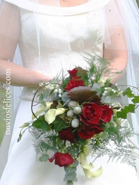 ROSAS