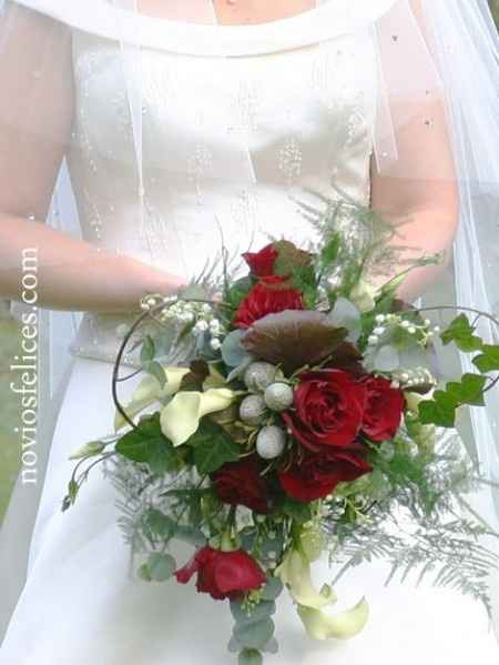 ROSAS