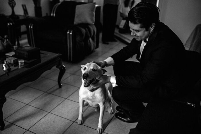  Fotos con perritos - 2