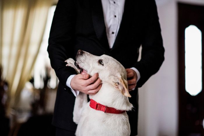 Les comparto las fotos oficiales de nuestra boda! 2