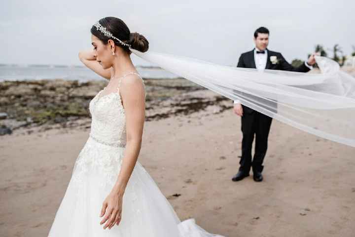 Reglas del velo de novia - 1