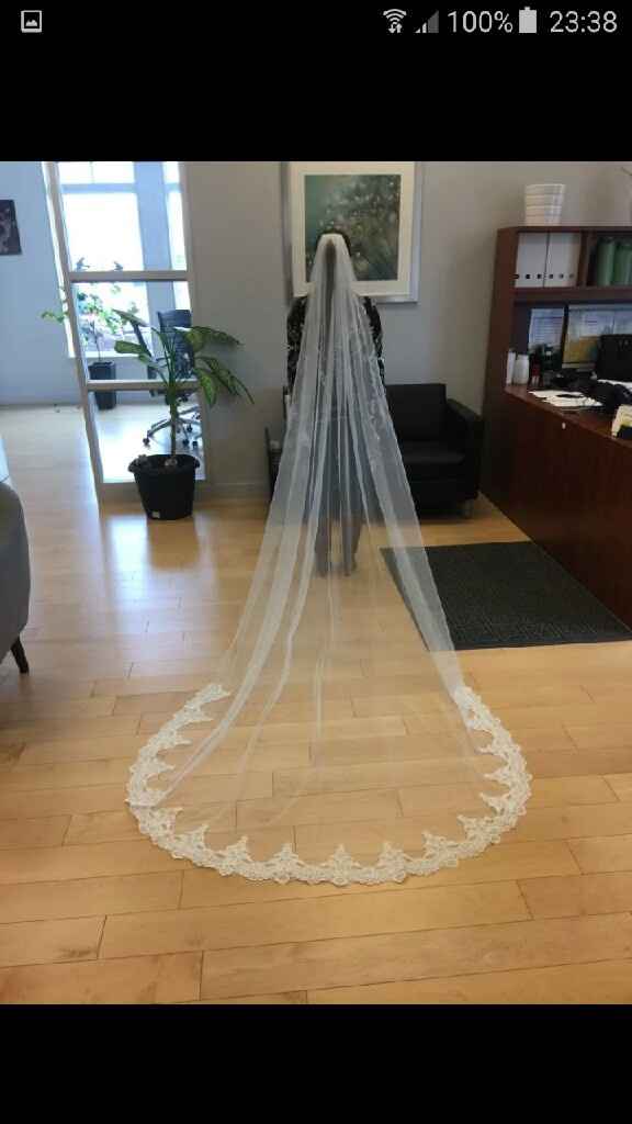 Llego mi velo aliexpress - 1