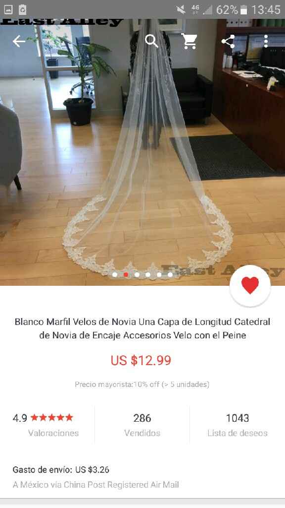 Llegó mi velo! - 1
