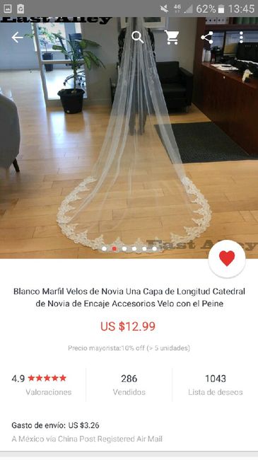 Llegó mi velo! - 1
