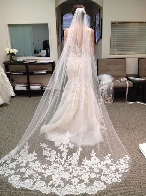 Velo de Novia 2