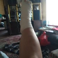 a 268 días y cruak - 1