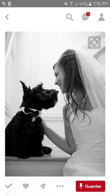 Porque son parte de la familia... - 1