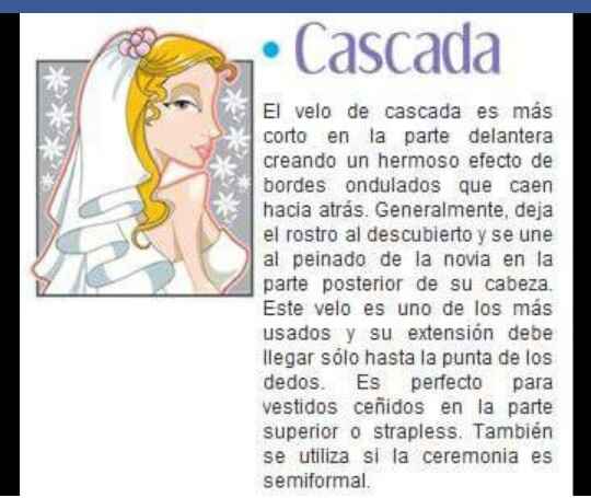 Velos que incluyen el vestido u otros. - 2