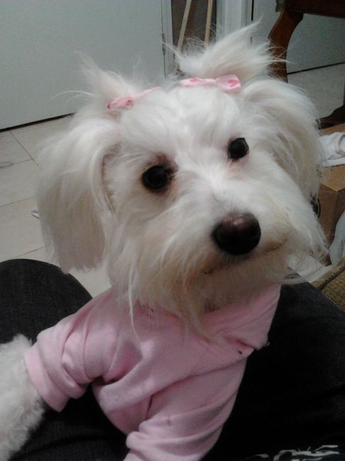 La foto de tu mascota! - 1