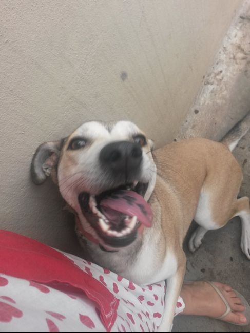 La foto de tu mascota! - 3