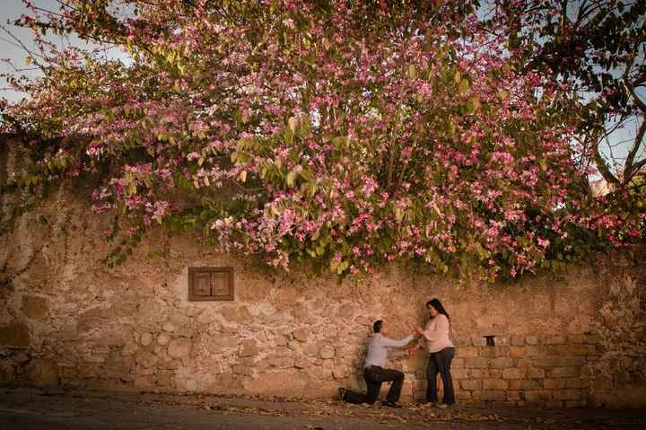 Recomendacion de fotografo en Monterrey  - 2