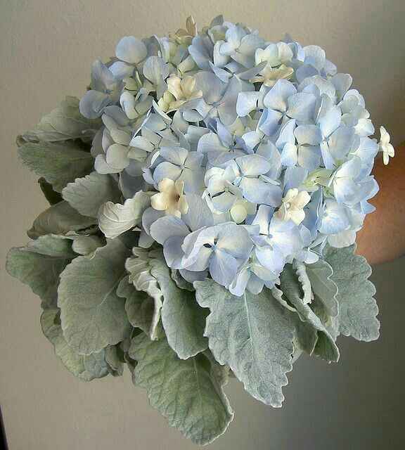Ramos  de hortensias - 15