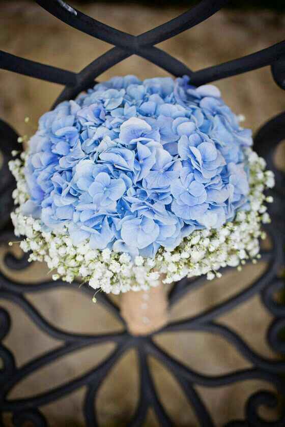 Ramos  de hortensias - 42