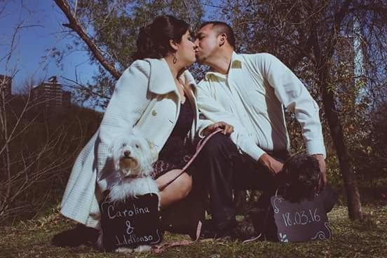 Alguna recomendación para incluir a mi perrito en la sesión previa de fotos/video - 1
