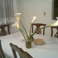 MIS FLORES FAVORITAS