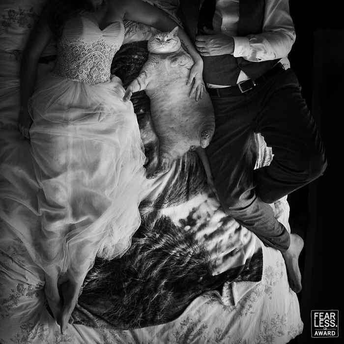 Espectaculares fotografías para tu boda 🎩👰🏻 - 23