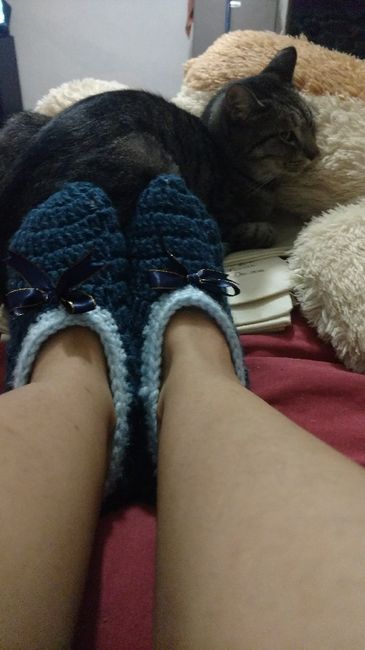 Pantuflas y más pantuflas - 7